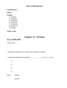 Ch. 12 note packet