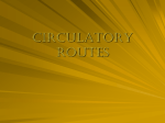 circulatory routes - OCPS TeacherPress