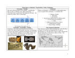 Classical River Valley Civilizations