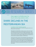 sHarK DecLines in tHe meDiterranean sea