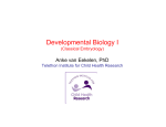 Developmental Biology I