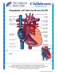HLHS - Children`s Heart Clinic