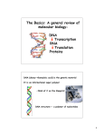 The Basics: A general review of molecular biology: DNA