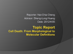 Topic Report Cell Death: From Morphological to Molecular Definitions