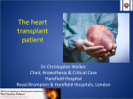The heart transplant patient