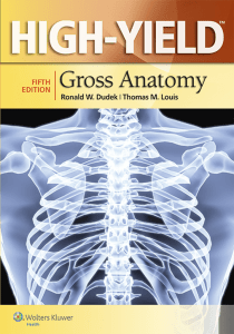 HIGH-YIELD: Gross Anatomy, FIFTH EDITION