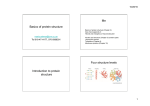 Basics of protein structure Me Introduction to protein structure Four