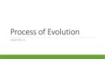 Process of Evolution