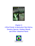 Chapter 6 A Brief Guide to Kentucky`s Non
