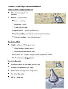 Chapter 3: The Biological Bases of Behavior