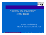 Anatomy and Physiology of the Heart