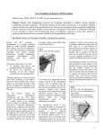 New Concept in Rotator Cuff Retraining