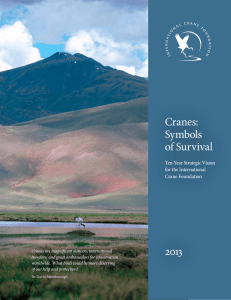 Cranes: Symbols of Survival 2013