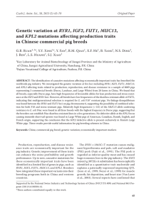 Genetic variation at RYR1, IGF2, FUT1, MUC13, and KPL2