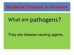 Bacterial Disease in Humans