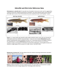 Zebrafish and Skin Color Reference Data
