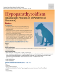 Hypoparathyroidism - Milliken Animal Clinic