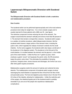 Duodenal Switch web - Laparoscopic Obesity Surgery