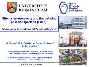 Glioma heterogeneity and the LAT-1