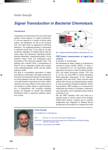 Signal Transduction in Bacterial Chemotaxis