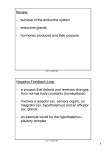 Review: purpose of the endocrine system endocrine glands