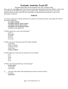 Systemic Anatomy Exam III