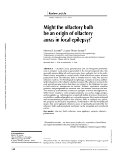 Might the olfactory bulb be an origin of olfactory auras in focal
