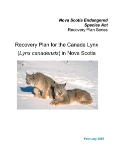 Recovery Plan for the Canada Lynx