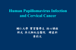 Human Papillomavirus and Cervical Cancer