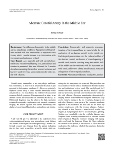 Aberrant Carotid Artery in the Middle Ear