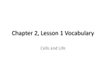 Chapter 2, Lesson 1 Vocabulary