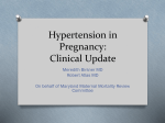 Hypertension in Pregnancy: Clinical Update