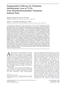 Fragmentation pathway for glutamine identification: Loss of 73 da