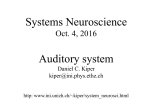 Systems Neuroscience Auditory system