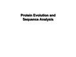 Protein Evolution and Sequence Analysis