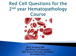 Red Cell Questions for the 2 nd year Hematopathology