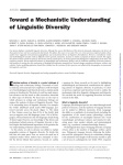 Toward a Mechanistic Understanding of Linguistic Diversity