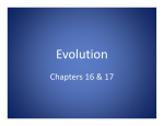 Evolution PowerPoint