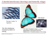 Diffraction Intensity, resolving power, Xray diffraction