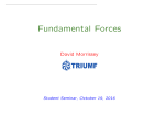 Fundamental Forces