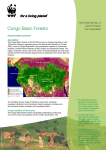 Congo Basin Forests