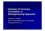 Analysis of Coronary Circulation: A Bioengineering Approach