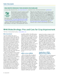 rNAi Biotechnology: Pros and Cons for Crop Improvement