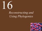 Ch16 Lecture-Reconstructing and Using Phylogenies