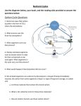 Nutrient Cycles Carbon Cycle Questions