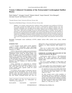 Venous Collateral Circulation of the Extracranial