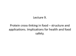 L9 Protein cross links - e