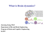 What is brain dynamics - Brain Dynamics Laboratory
