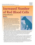 Increased Number of Red Blood Cells