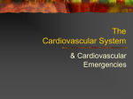 The Cardiovascular System - Emergency Medical Technology